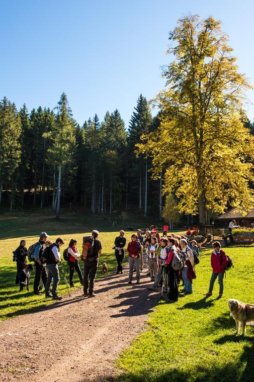 Hostel L'Ost - Ostello di Grumes Eksteriør bilde